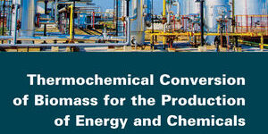 Thermochemical Conversion of Biomass for The Production of Energy and Chemicals